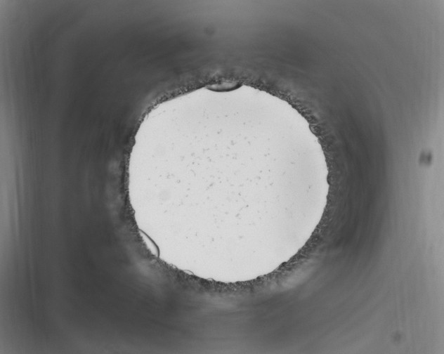 X0000116350144201001131114