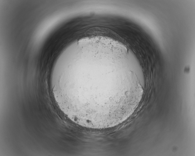 X0000116350146201001131113