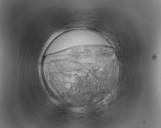 X0000116350147201001131113