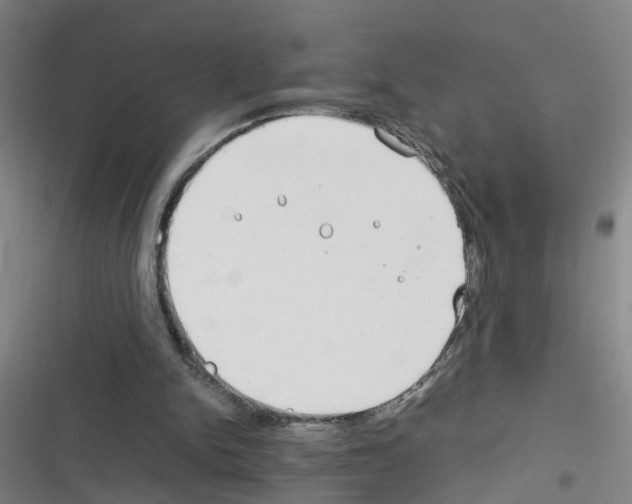 X0000116350150201001131113