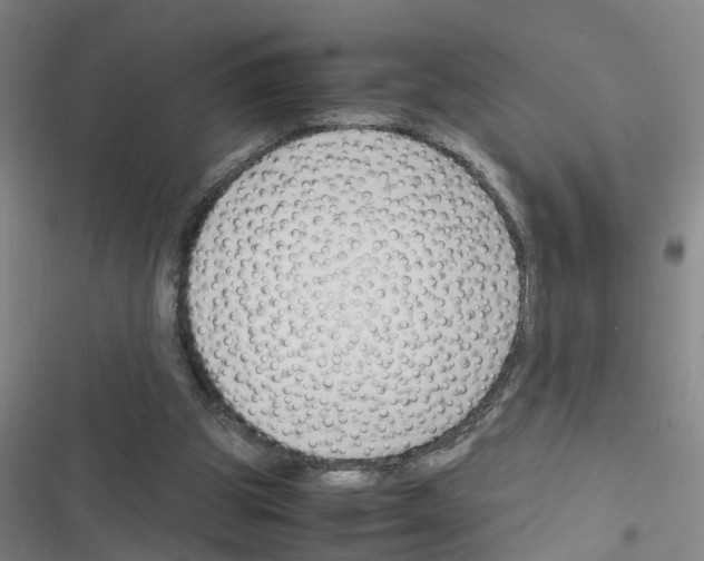 X0000116350153201001131113