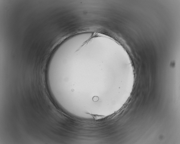 X0000116350154201001131113