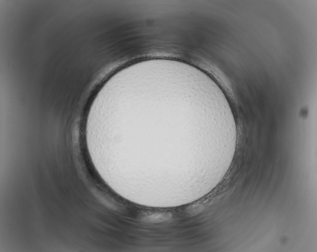 X0000116350155201001131113