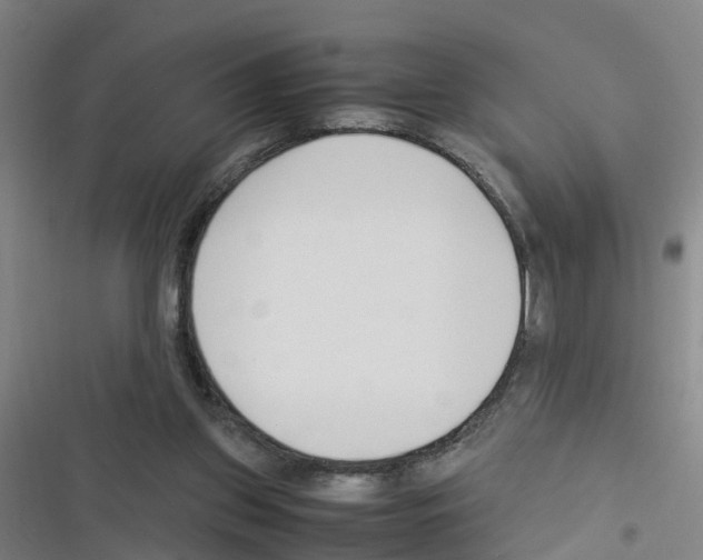 X0000116350157201001131113