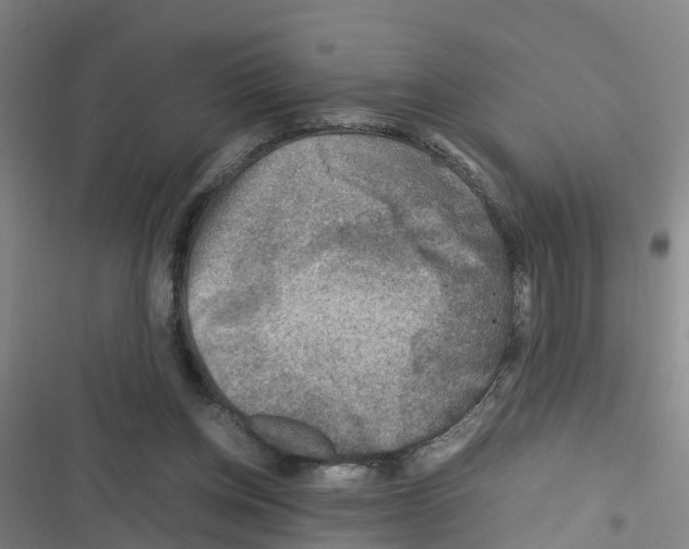 X0000116350158201001131113