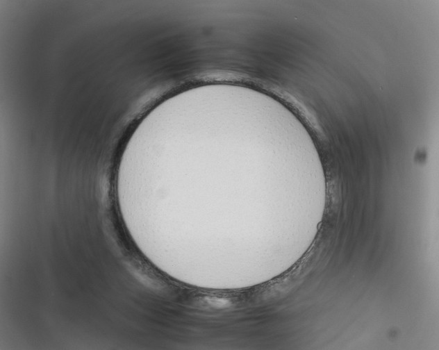 X0000116350159201001131113