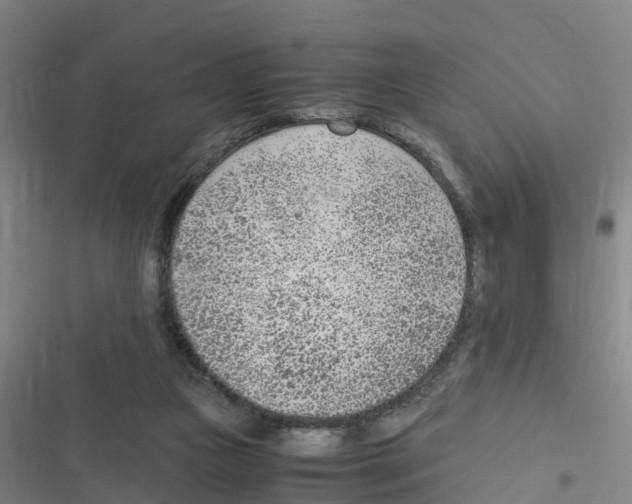 X0000116350161201001131113