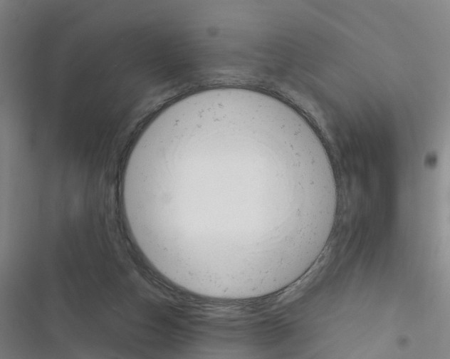 X0000116350162201001131113