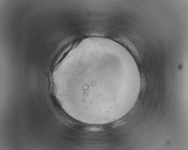 X0000116350163201001131113