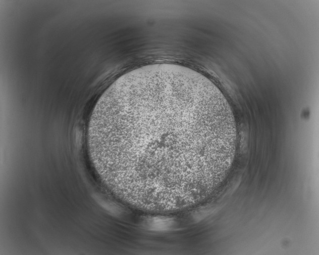 X0000116350165201001131113