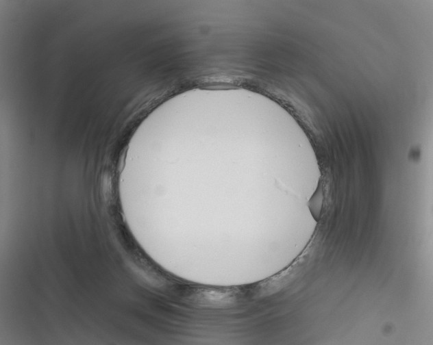 X0000116350166201001131113