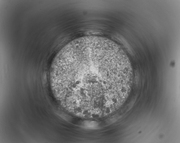 X0000116350169201001131114