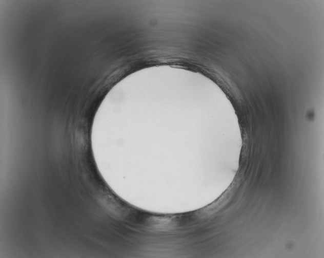 X0000116350170201001131114
