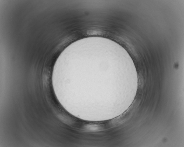 X0000116350171201001131114