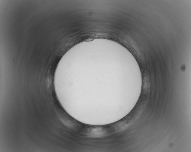 X0000116350173201001131114