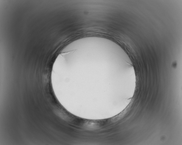 X0000116350174201001131114
