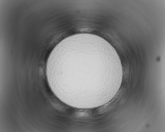 X0000116350175201001131114