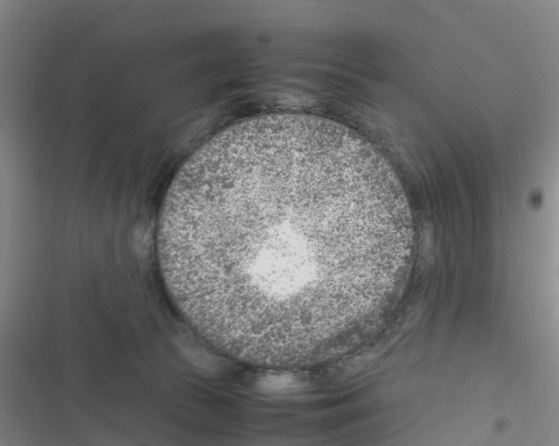 X0000116350177201001131114