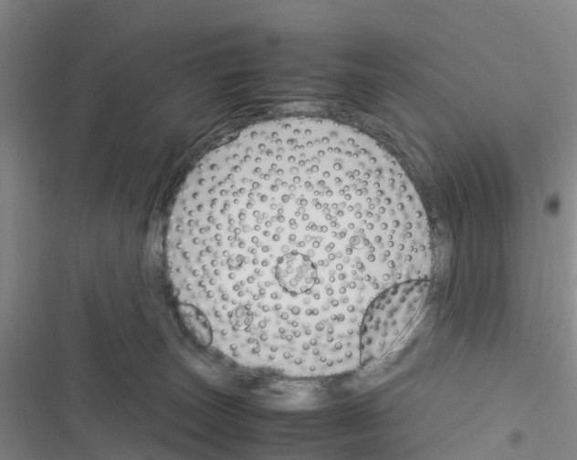 X0000116350179201001131114