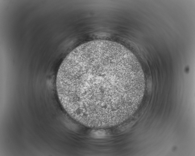 X0000116350181201001131114