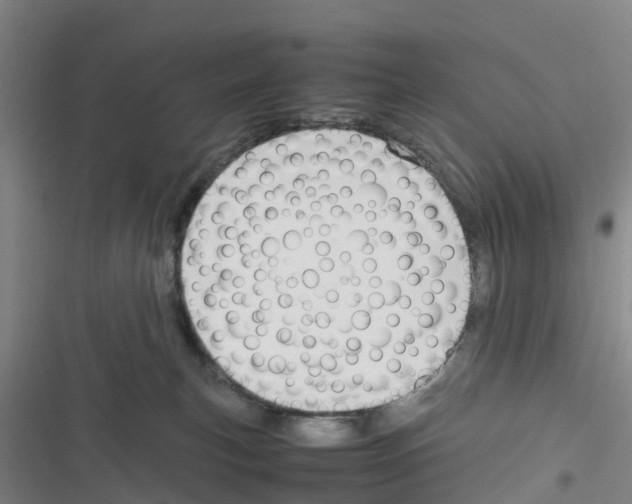 X0000116350183201001131114