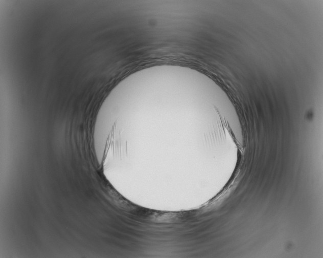 X0000116350186201001131114