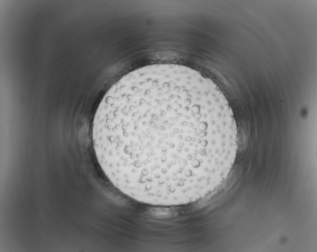 X0000116350187201001131114