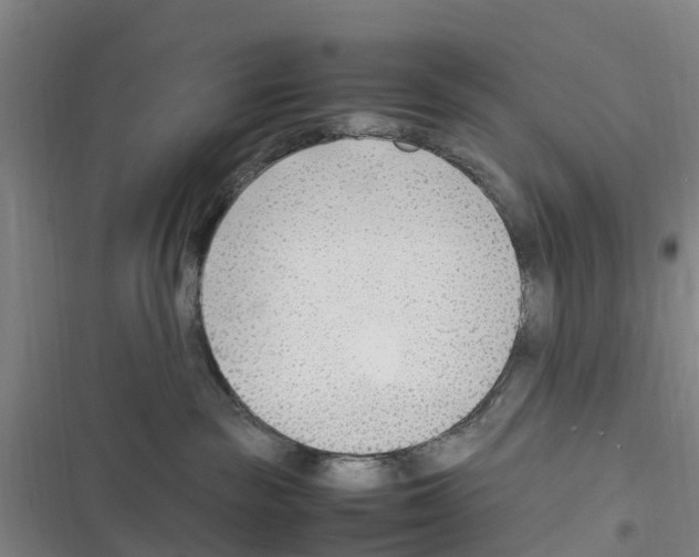 X0000116350189201001131114