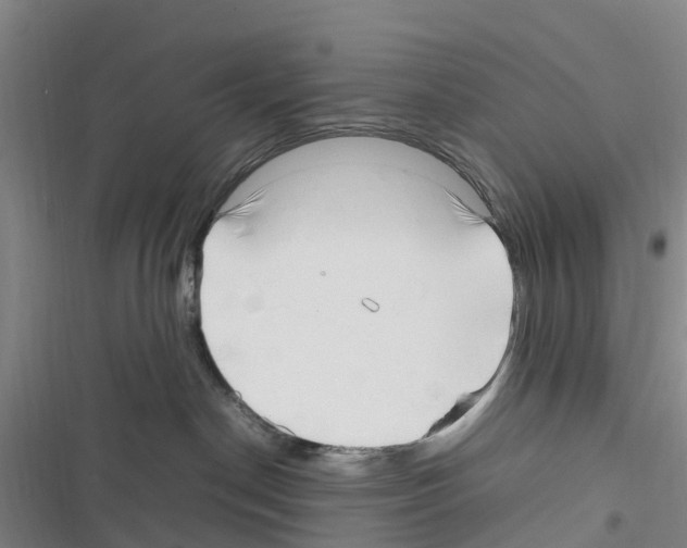 X0000116350190201001131114