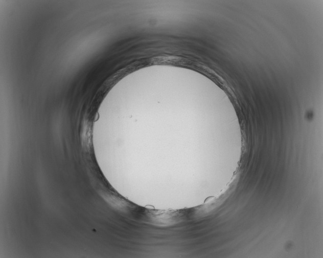 X0000116350191201001131114