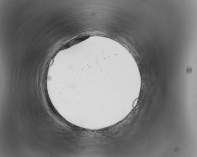 X0000116350193201001131113