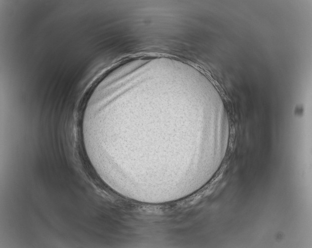 X0000116350194201001131113