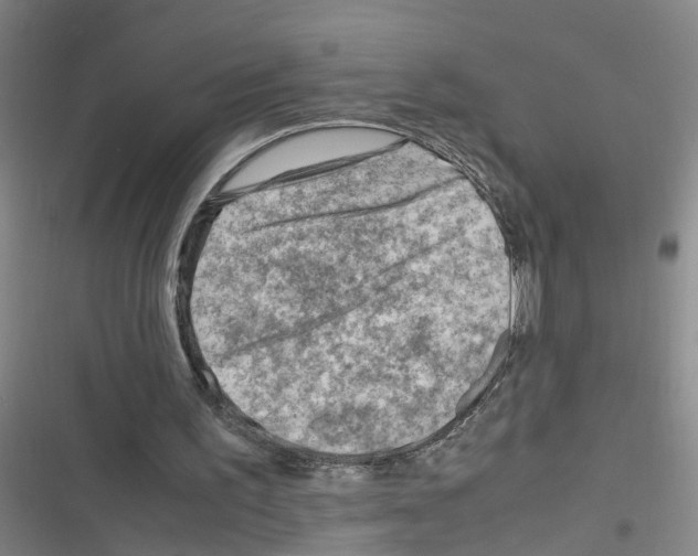 X0000116350195201001131113