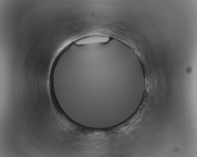 X0000116350196201001131113