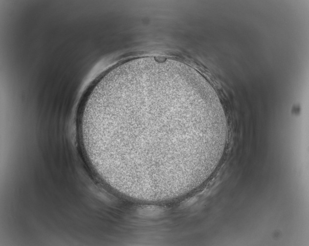 X0000116350198201001131113