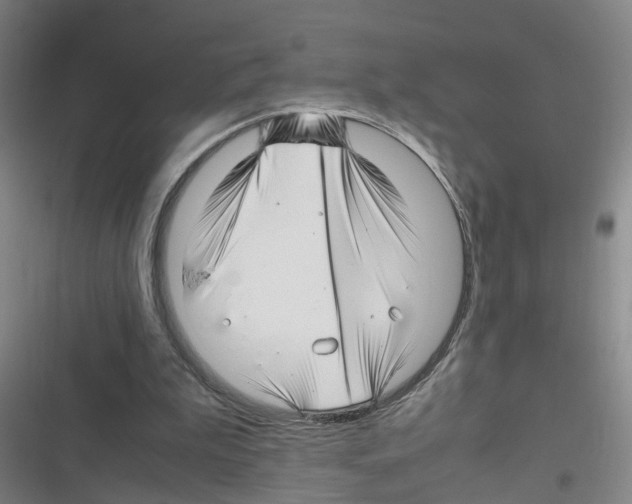 X0000116350199201001131113