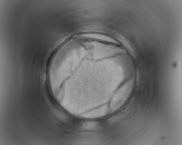 X0000116350202201001131113