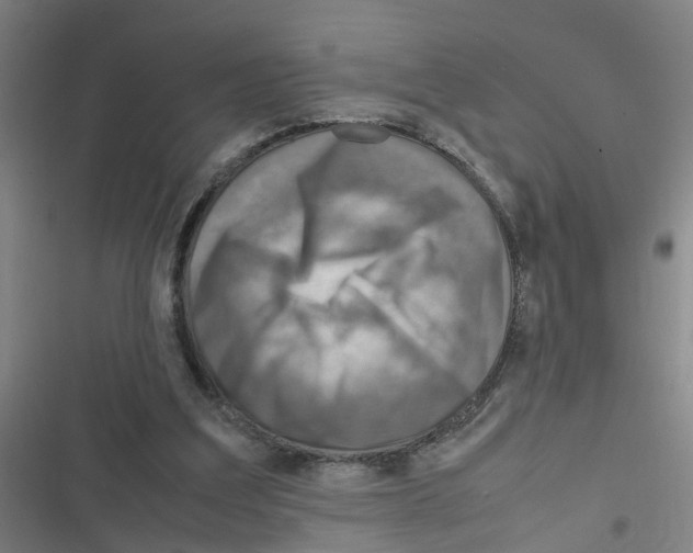 X0000116350203201001131113