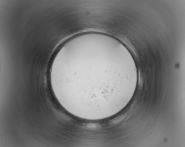 X0000116350204201001131113