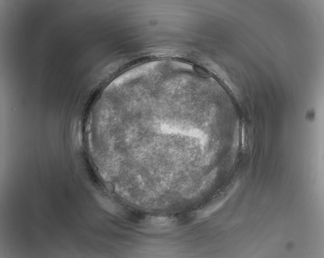 X0000116350205201001131113