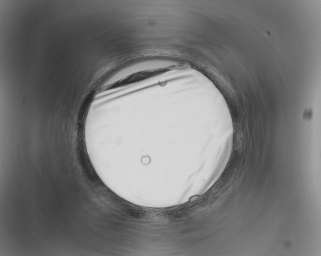 X0000116350207201001131113