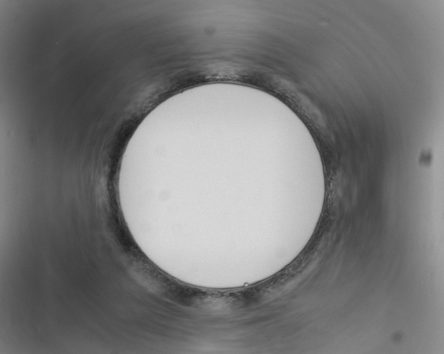 X0000116350209201001131113