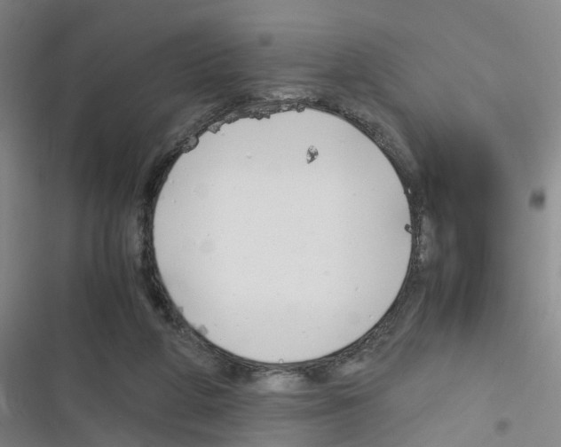 X0000116350210201001131113