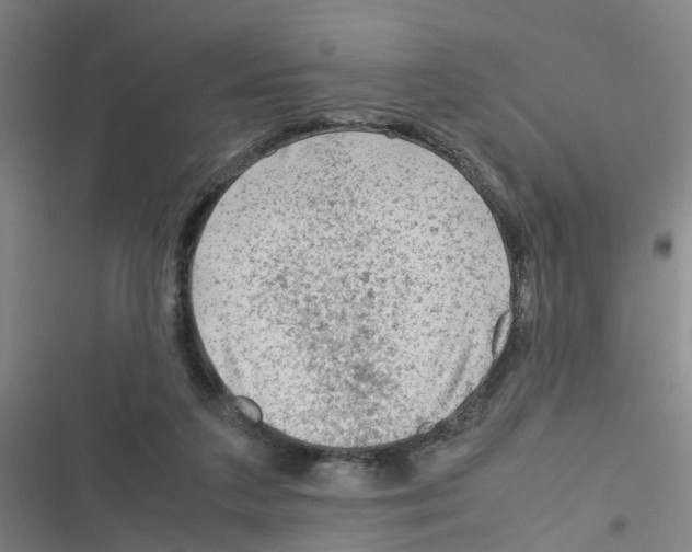 X0000116350211201001131113
