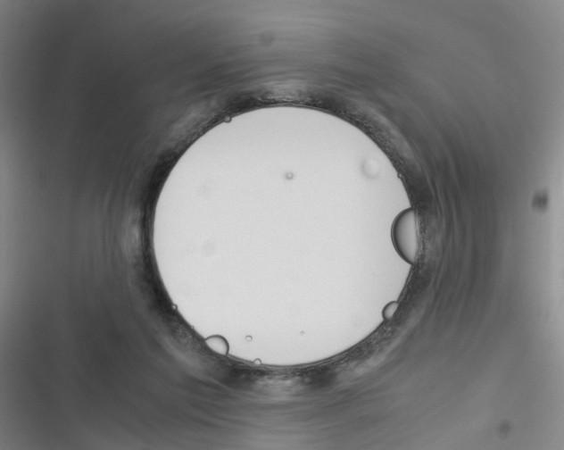 X0000116350213201001131113