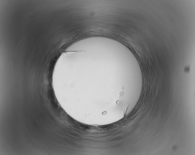 X0000116350215201001131113