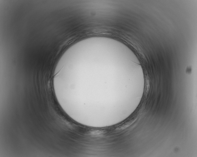 X0000116350216201001131113