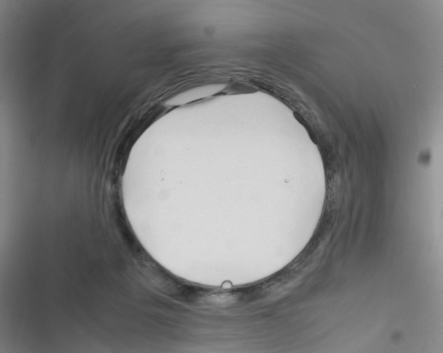 X0000116350217201001131113