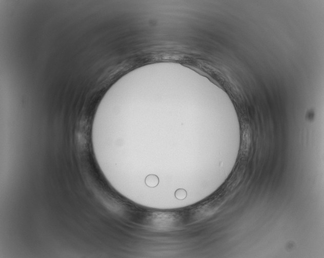 X0000116350218201001131113