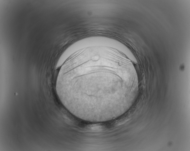 X0000116350219201001131113